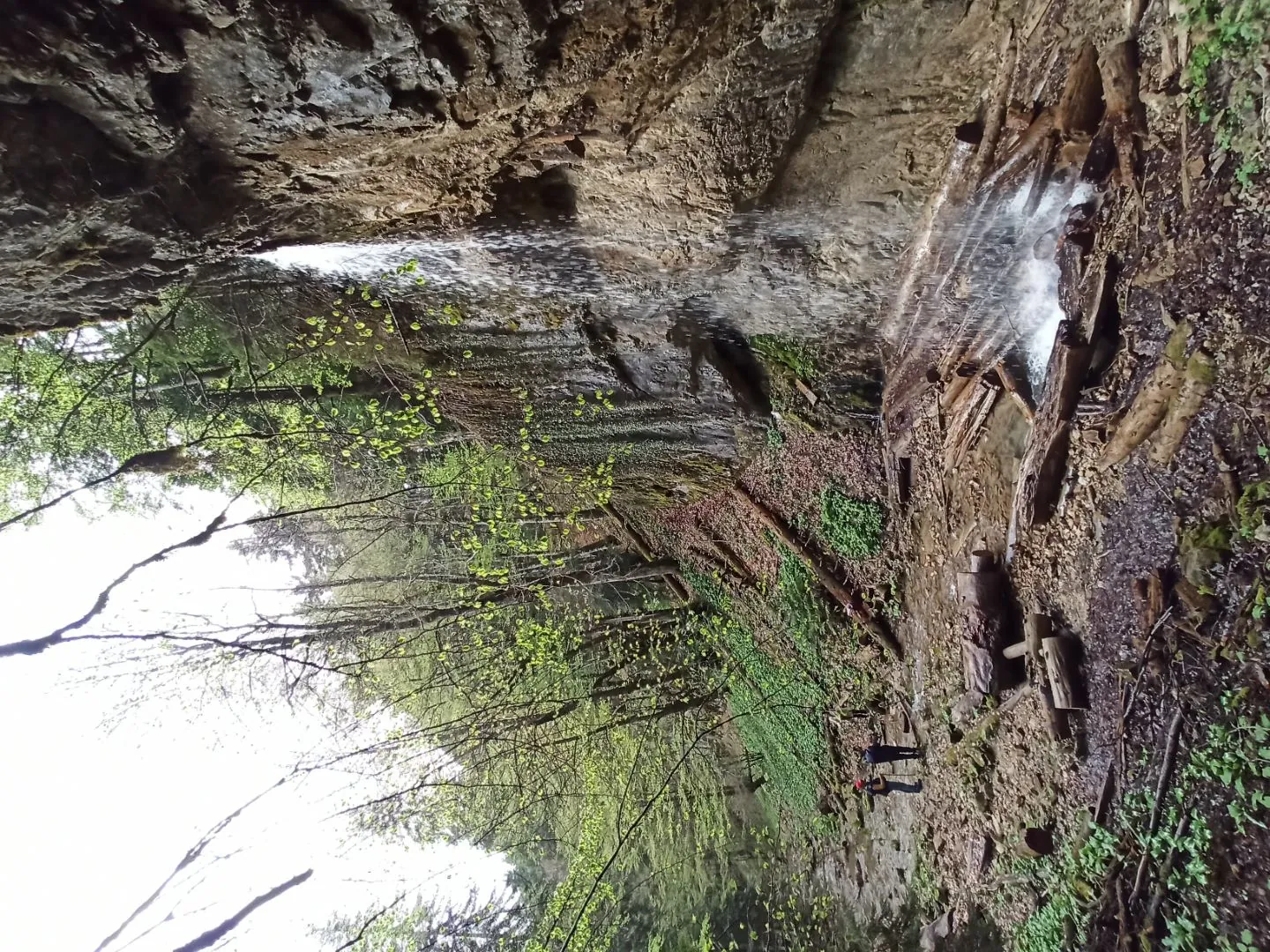 IMG_20220508_160753